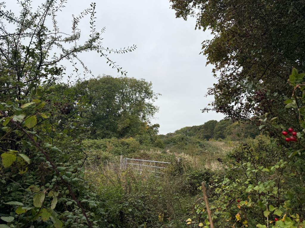 Lot: 2 - APPROXIMATELY 3.60 ACRES OF LAND - Access to field